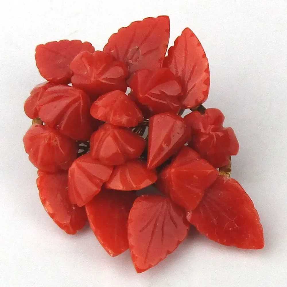 Victorian Natural Red Coral Cluster Pin Brooch - image 3