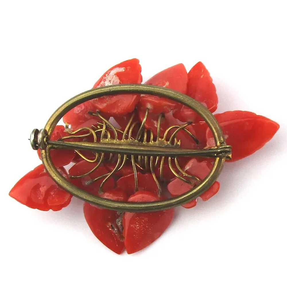 Victorian Natural Red Coral Cluster Pin Brooch - image 5