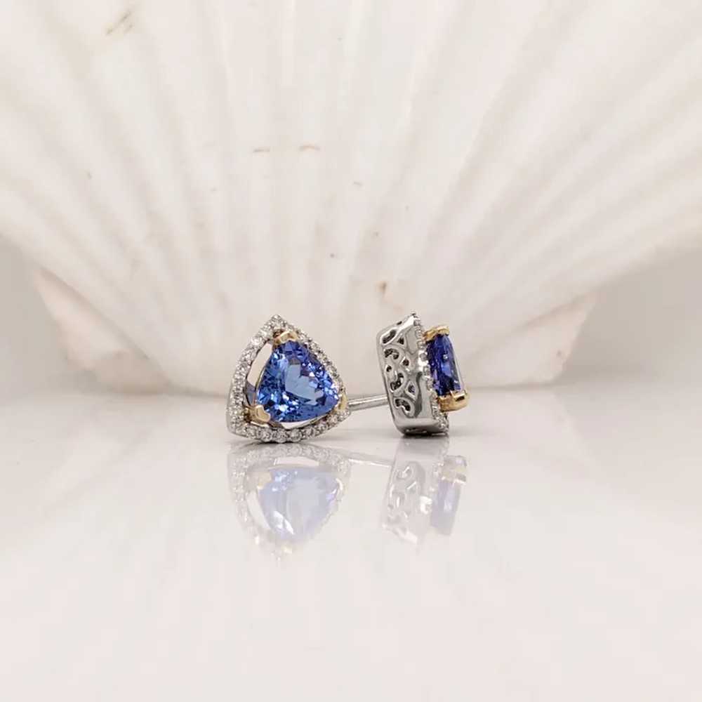 Gorgeous Genuine Tanzanite Earring in Dual Tones … - image 2