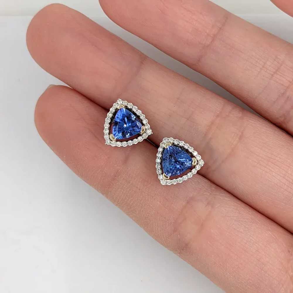 Gorgeous Genuine Tanzanite Earring in Dual Tones … - image 5