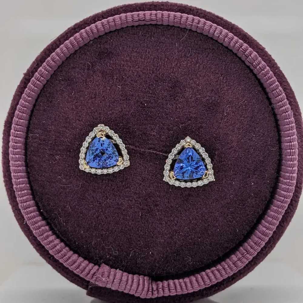 Gorgeous Genuine Tanzanite Earring in Dual Tones … - image 6