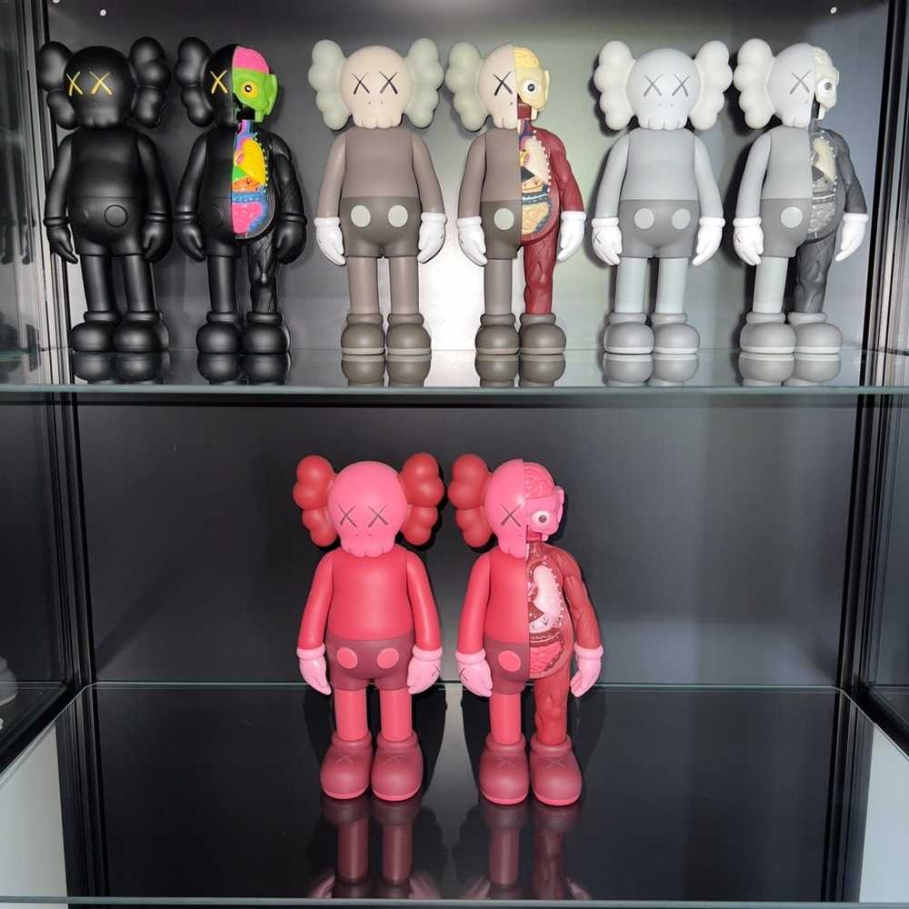 Kaws Kaws Companion - image 1