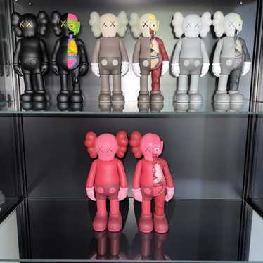 Kaws Kaws Companion - image 1