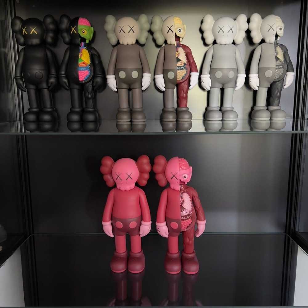 Kaws Kaws Companion - image 2