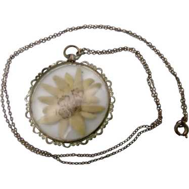 www. - Dried Flowers Vintage Long Chain Crystal Round Pendant  Necklace*