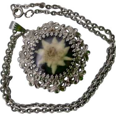 Dried Edelweiss Flower Locket Necklace German Bavarian Swiss 