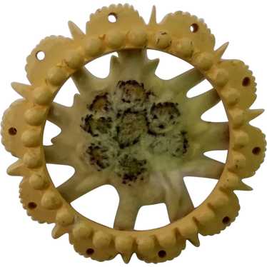 Edelweiss dry flower off white carved yellow fram… - image 1