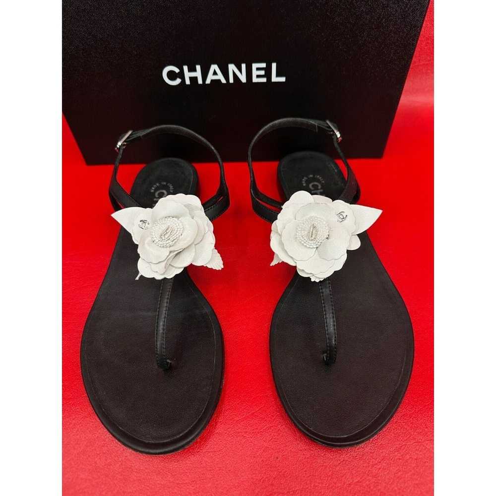 Chanel Chanel Camellia White Flower Black Thong S… - image 1