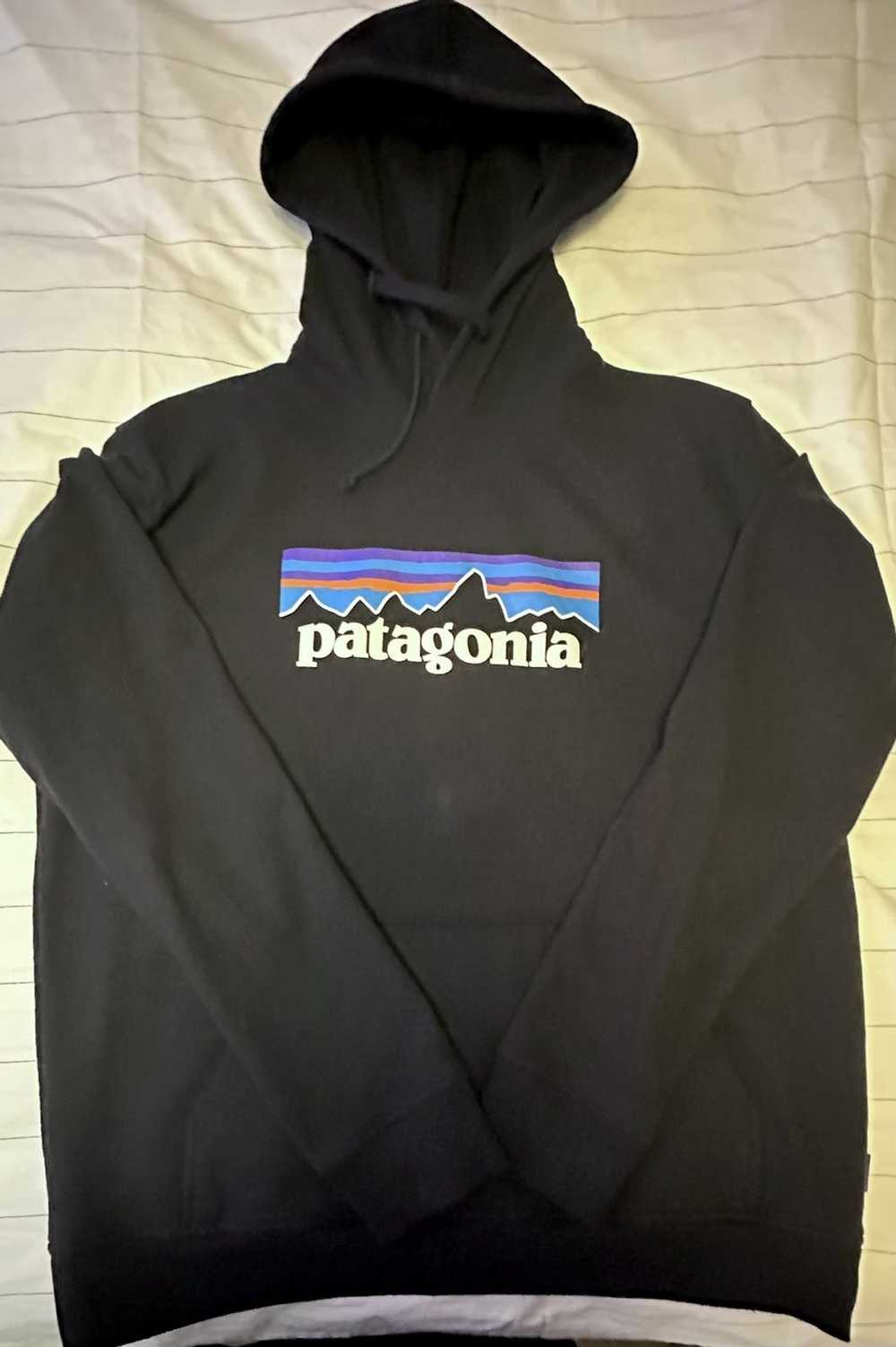 Patagonia Patagonia Hooded Sweatshirt - image 1