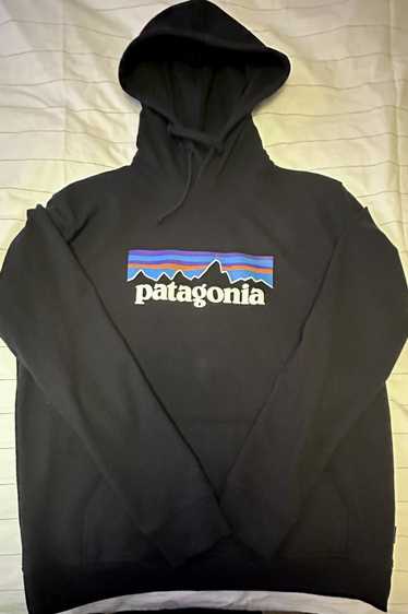 Patagonia Patagonia Hooded Sweatshirt