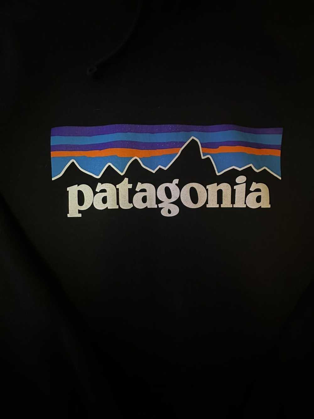 Patagonia Patagonia Hooded Sweatshirt - image 3