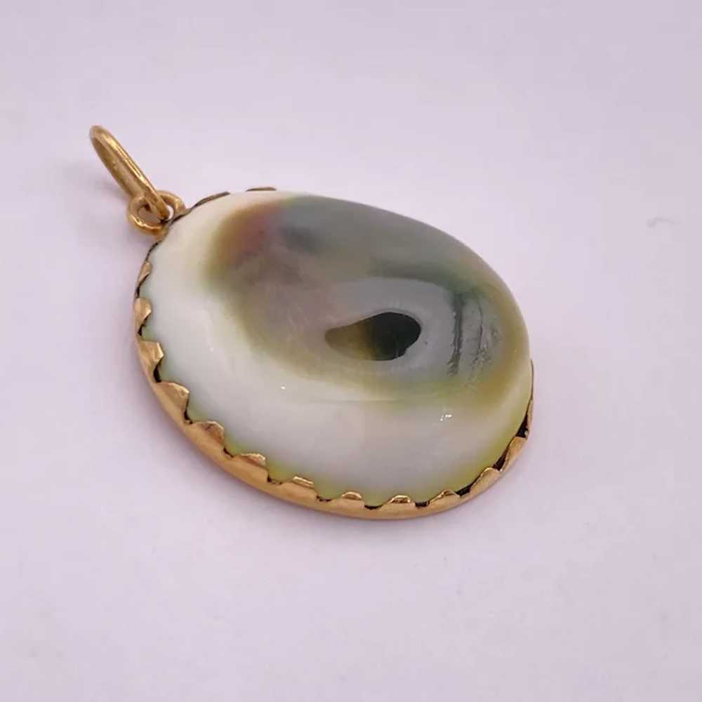 Victorian Operculum Evil Eye Protective Amulet 14… - image 2