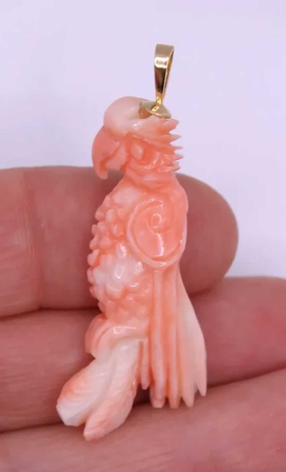 Carved Coral Angel Skin 3-D Bird Parrot Pendant S… - image 10