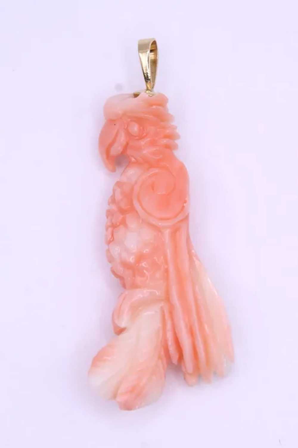 Carved Coral Angel Skin 3-D Bird Parrot Pendant S… - image 2