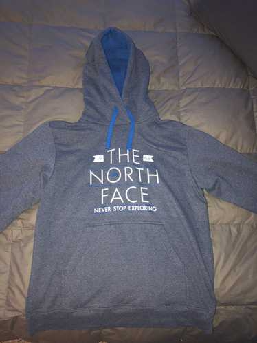 The North Face Men’s Large Vintage North Face Swea