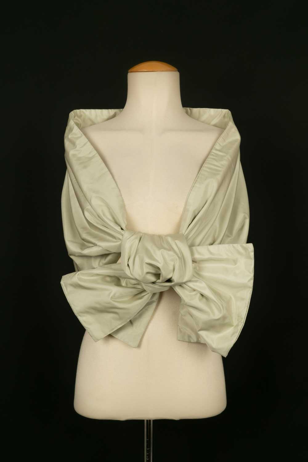 Chanel bustier top and stole Haute Couture - image 8