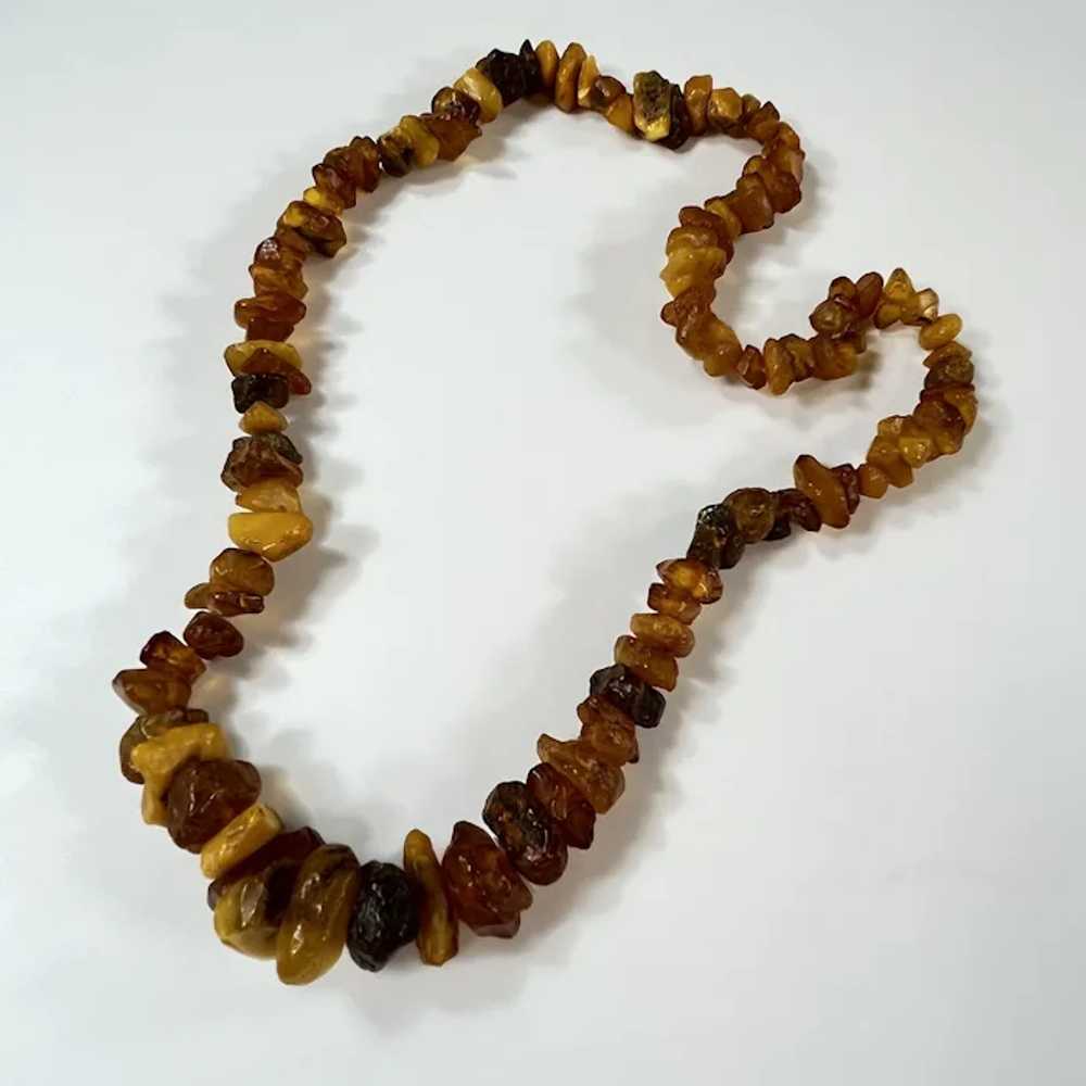 22 Inch Graduated Amber Necklace - image 2