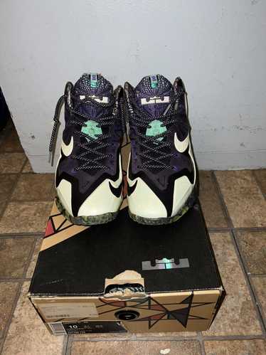 Nike Gator Kingz LeBron 11s size 10
