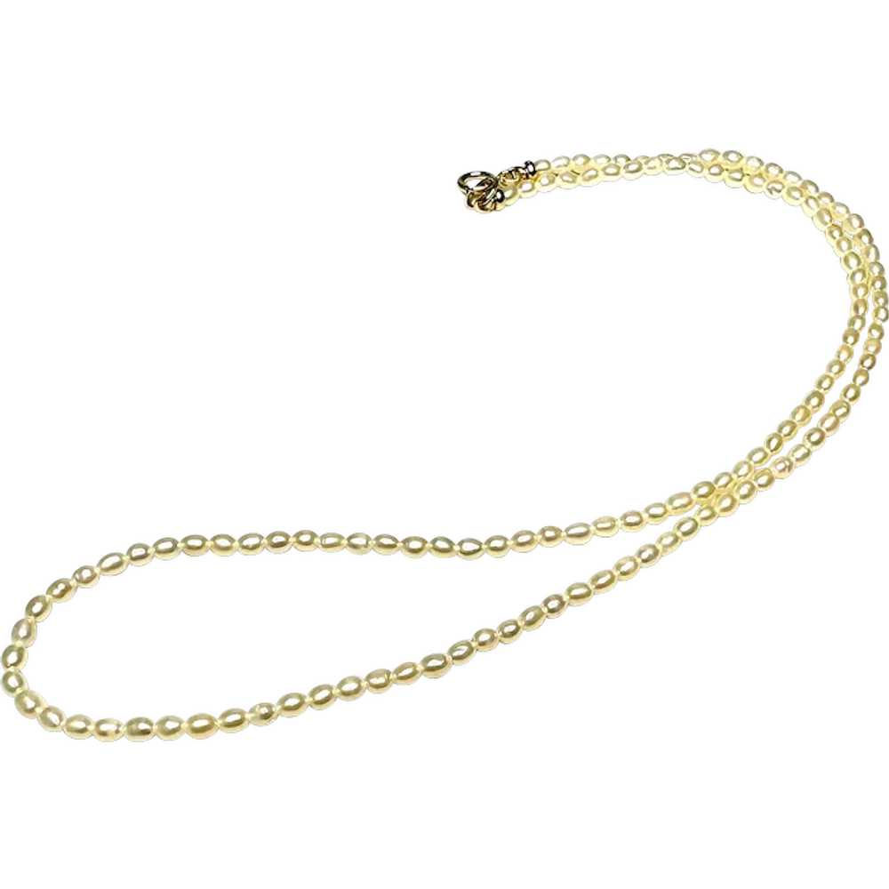 14k Gold and Tiny Cultured Pearl Necklace - image 1