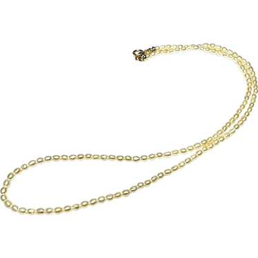 14k Gold and Tiny Cultured Pearl Necklace - image 1