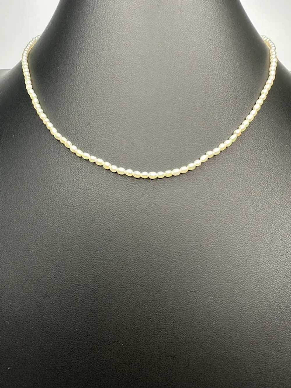 14k Gold and Tiny Cultured Pearl Necklace - image 2