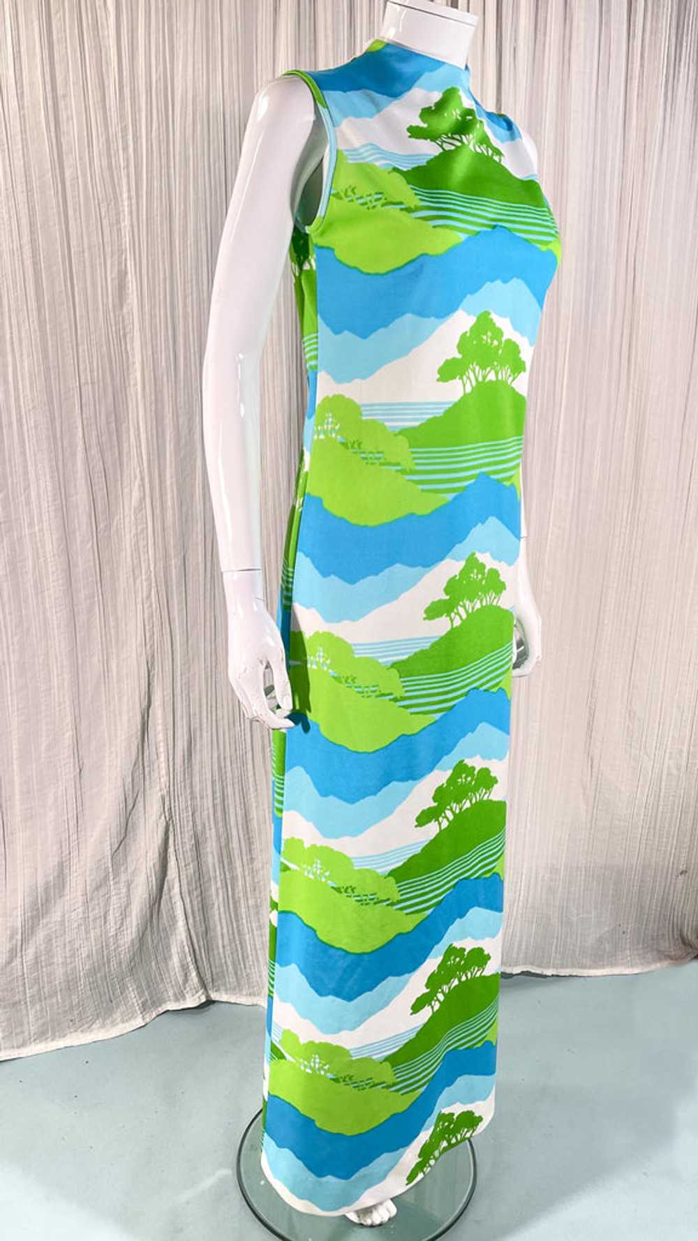 Vintage Maxi Dress Trees/Nature/Novelty Print, Bo… - image 12