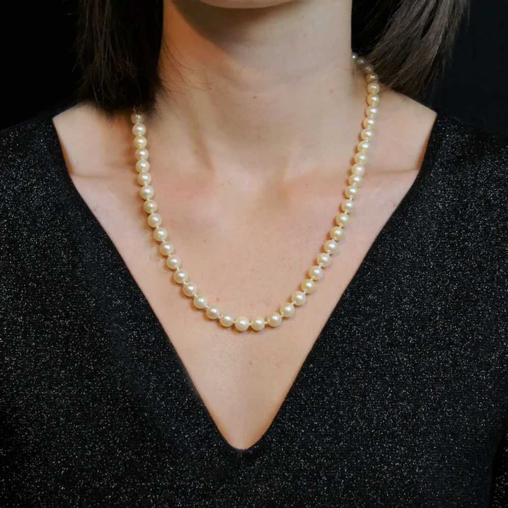French 1950s Cultured Pearl Choker Necklace - image 2