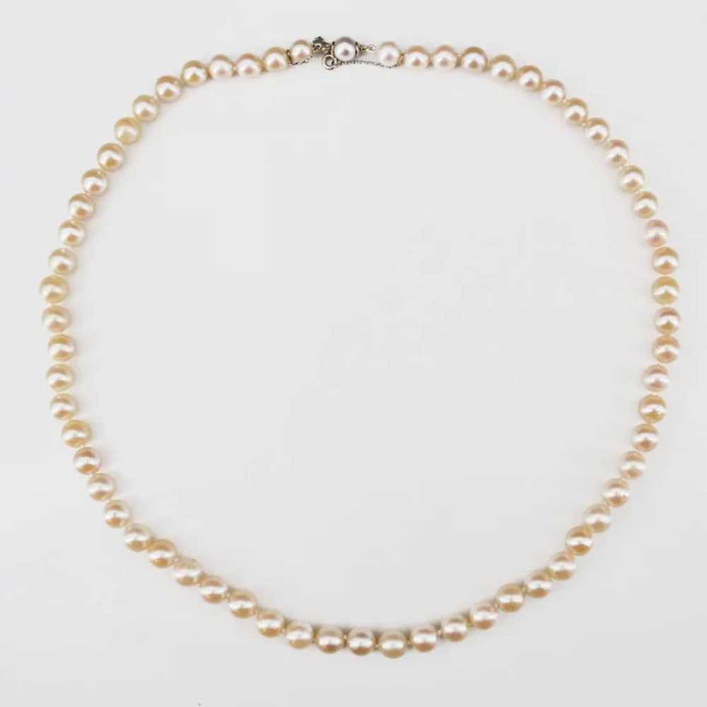 French 1950s Cultured Pearl Choker Necklace - image 3