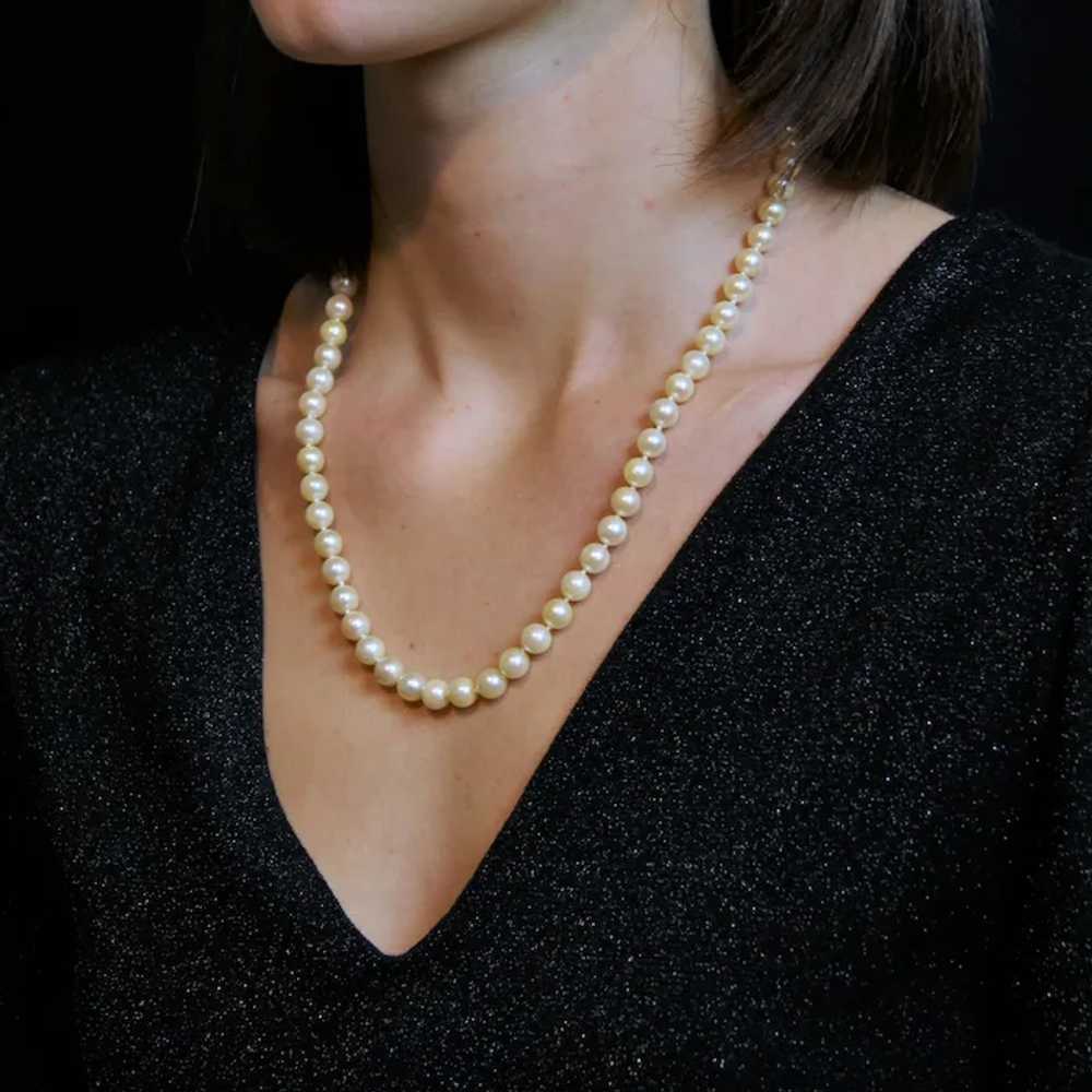 French 1950s Cultured Pearl Choker Necklace - image 5