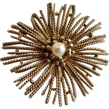 CAPRI Gold tone Starburst "Fireworks" Brooch Pin … - image 1