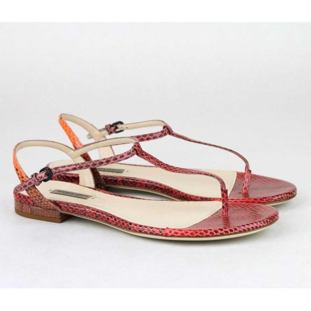 Bottega Veneta Python sandal - image 7