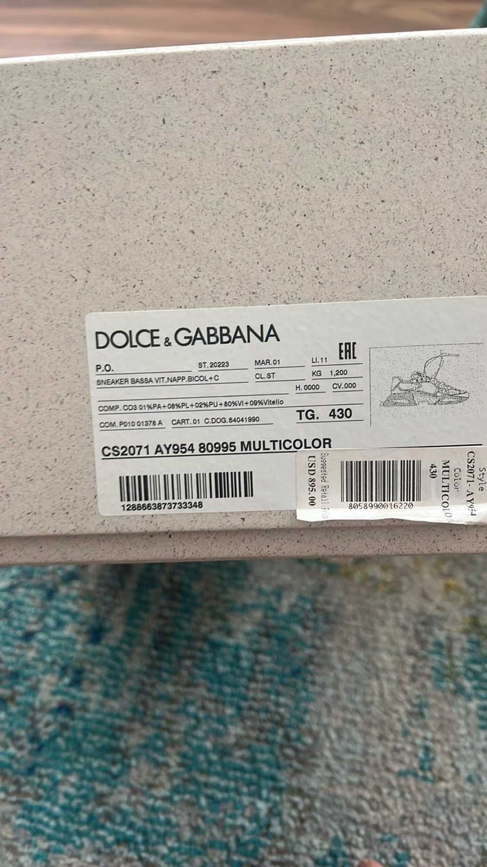 Roma crocodile low trainers Dolce & Gabbana Black size 39 EU in Crocodile -  23069473