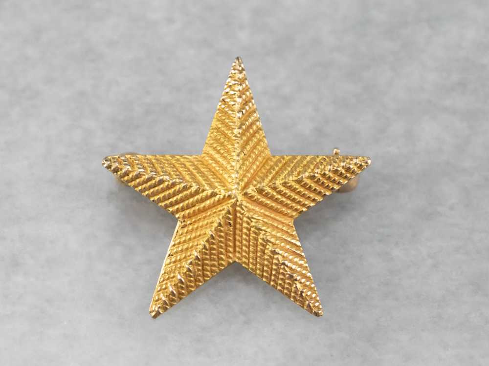 Textured Gold Star Pin - image 1