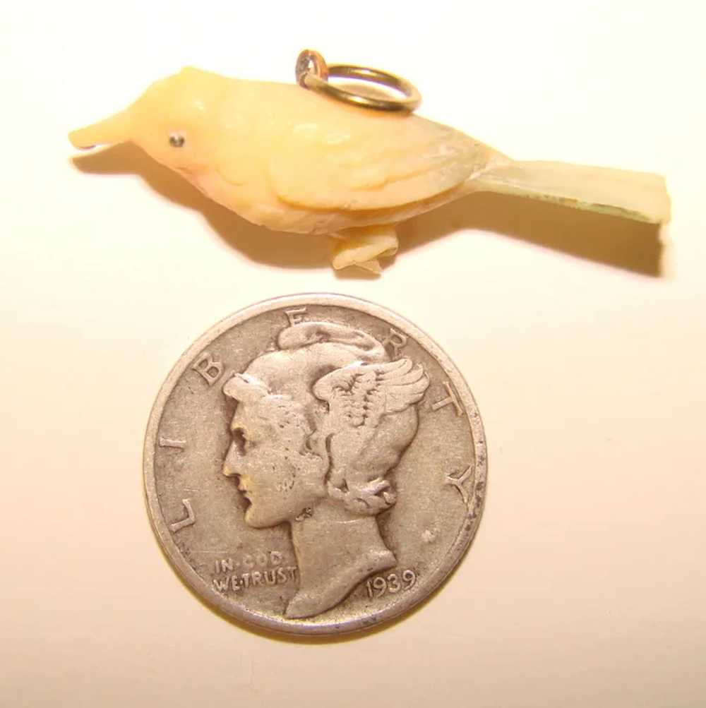Awesome SPARROW Vintage Celluloid Charm - image 2