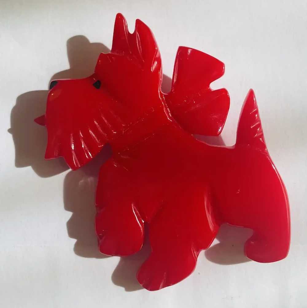 Shultz Carved Red Bakelite Dog Pin Brooch - image 2