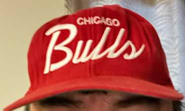 Vintage Chicago Bulls 1998 Champs T-Shirt NBA Basketball Pippen Rodman  Jordan – For All To Envy