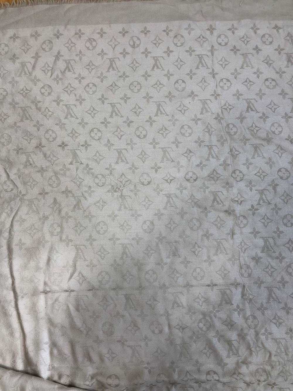 Louis Vuitton Louis Vuitton Scarf - image 10