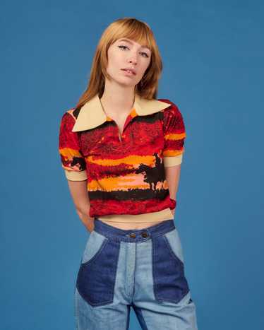 70's Western Crop Top