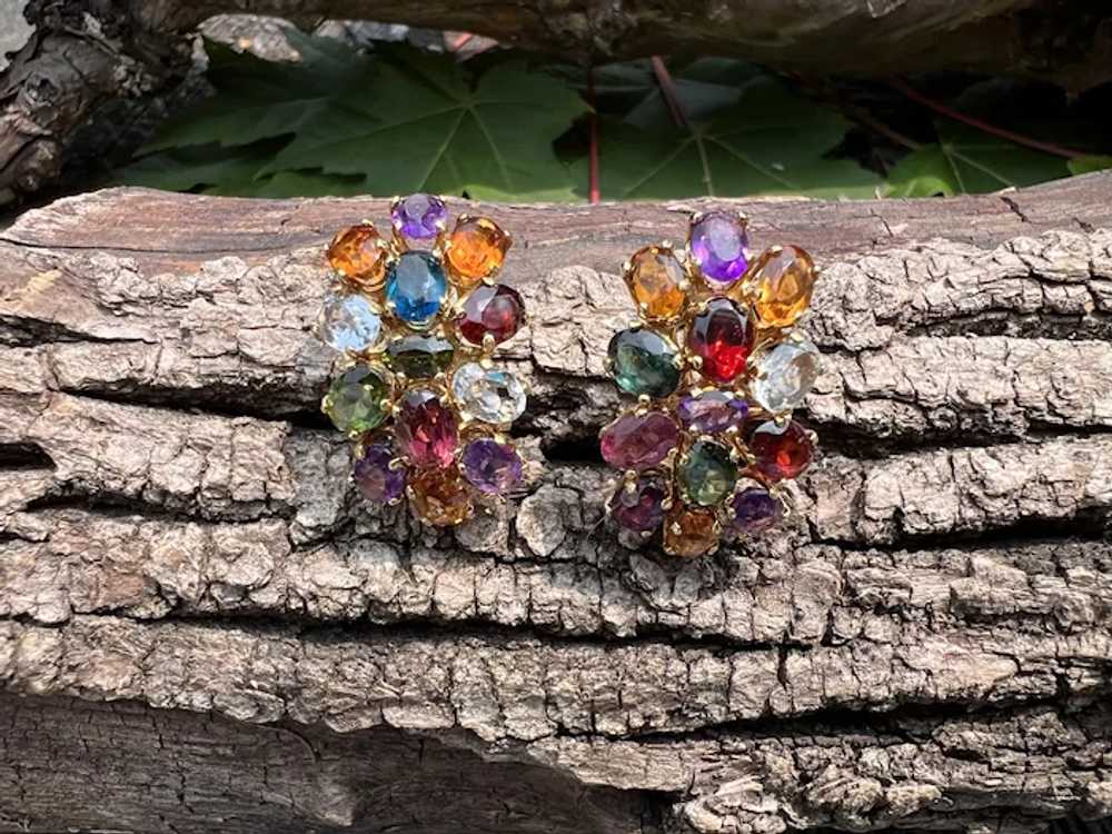 18K Yellow Gold Multi-Gem Cluster Earrings - image 6