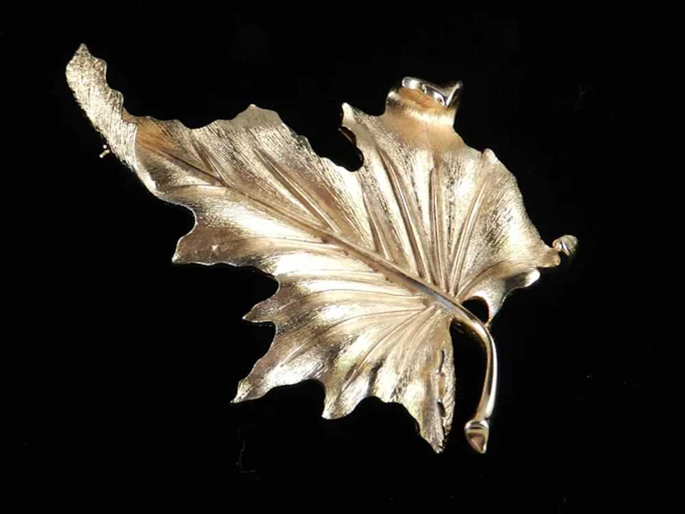 Trifari Maple Leaf Brooch Pin - image 2