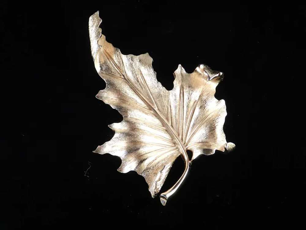 Trifari Maple Leaf Brooch Pin - image 3