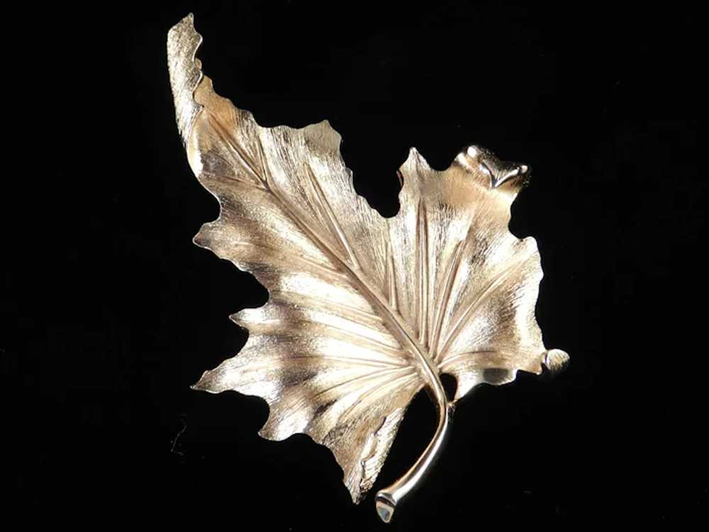 Trifari Maple Leaf Brooch Pin - image 4