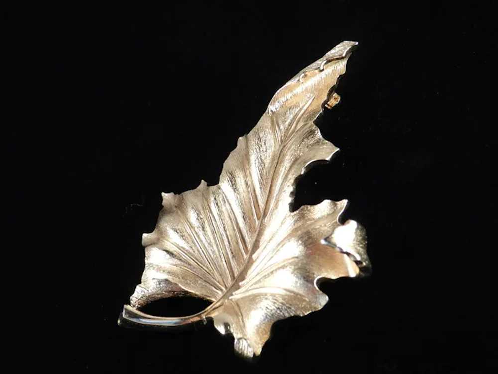 Trifari Maple Leaf Brooch Pin - image 5