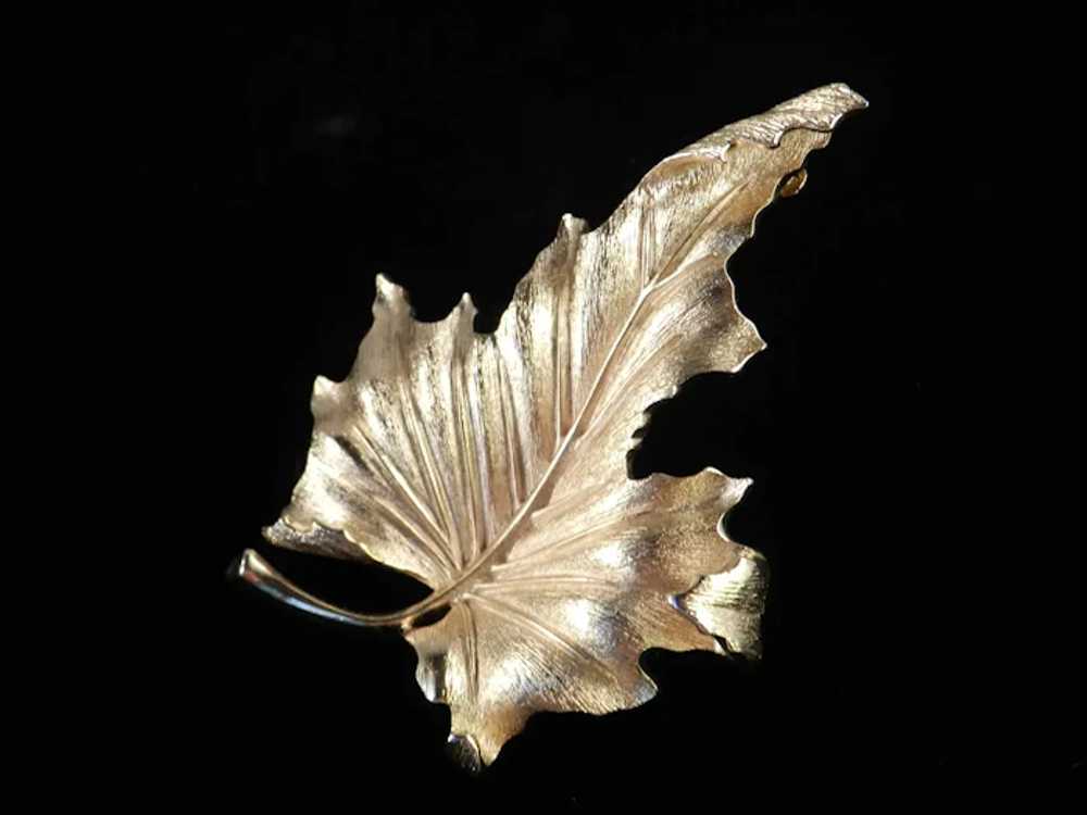 Trifari Maple Leaf Brooch Pin - image 6
