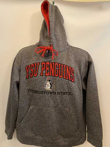 The Unbranded Brand Youngstown State Penguins Swea