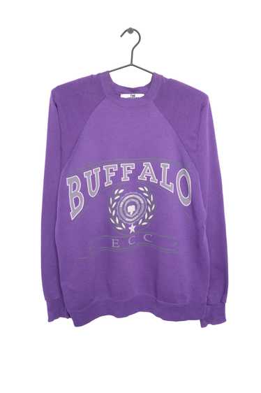 Erie Community College Buffalo Sweatshirt - image 1