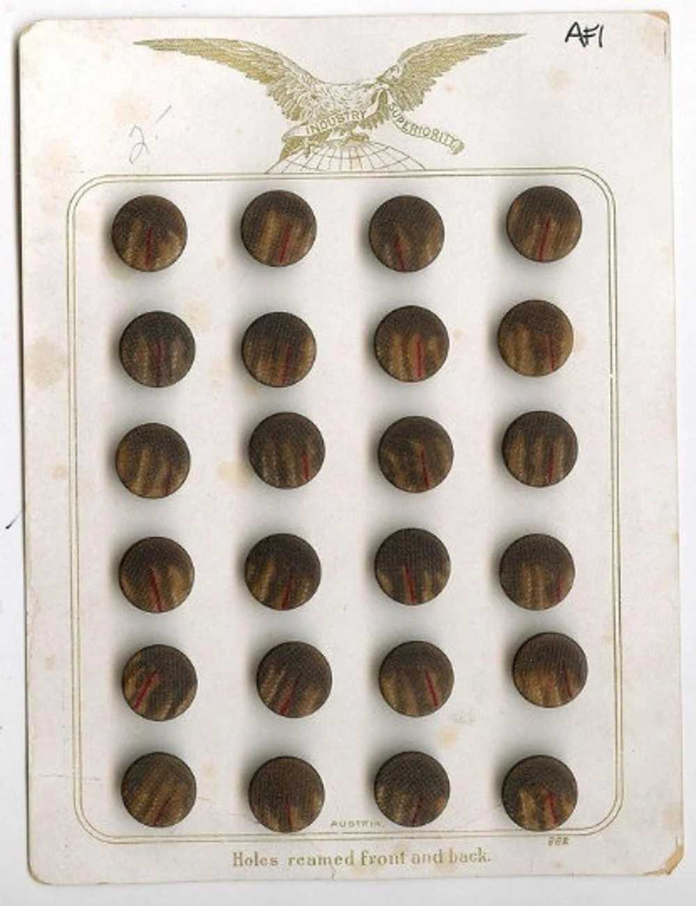 Antique Victorian Austrian Brown-Red Shank Button… - image 2