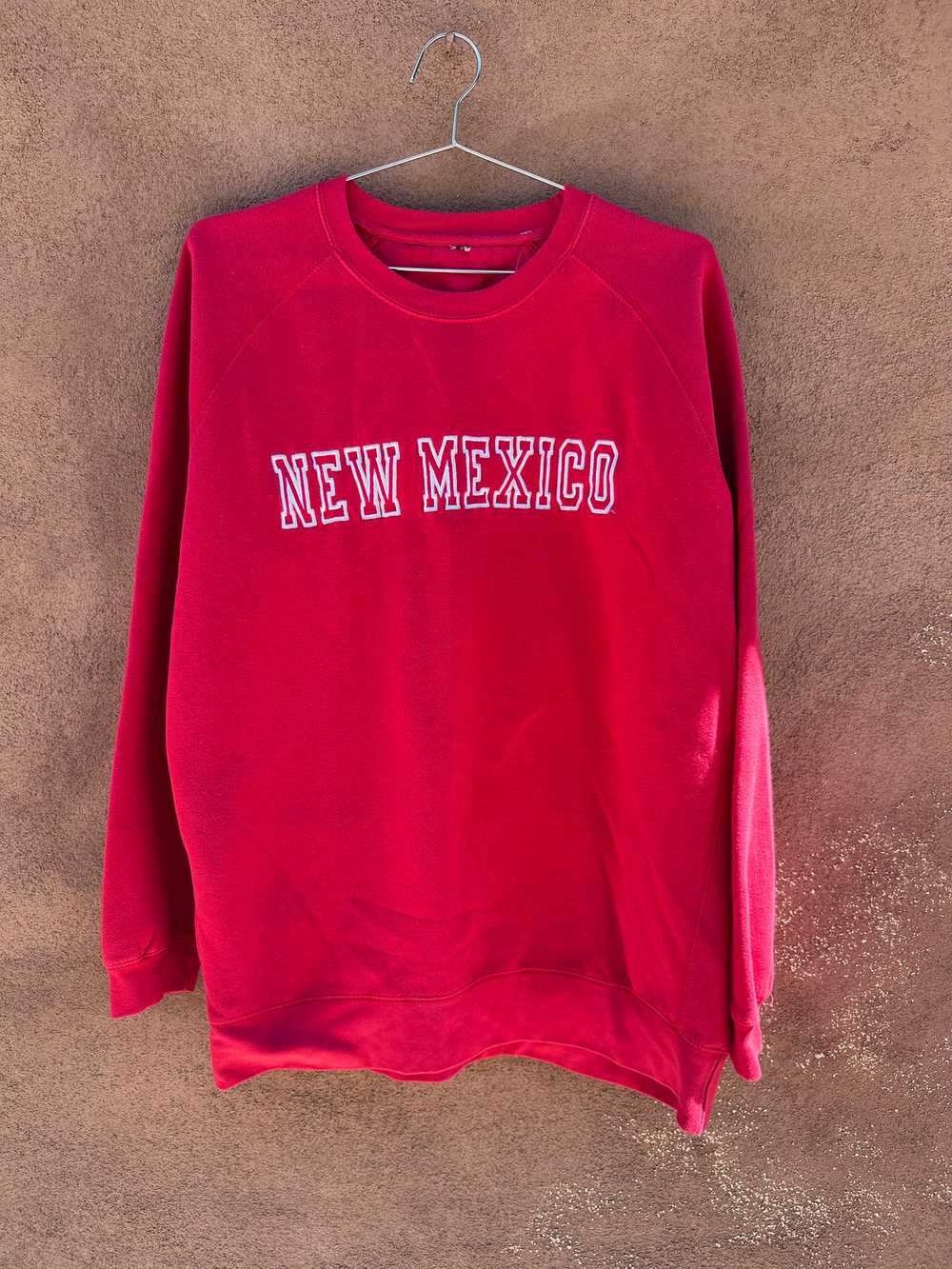 Cherry & Silver Embroidered New Mexico Sweatshirt - image 1
