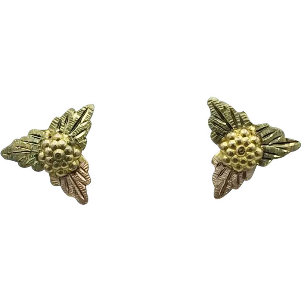 14K Black Hills Gold Earrings - image 1