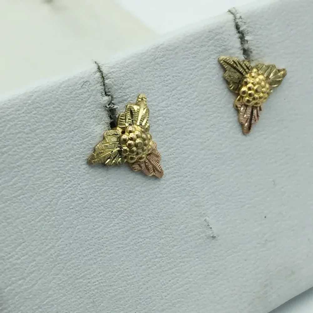 14K Black Hills Gold Earrings - image 2